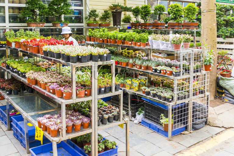 7 Desain Rak Tanaman Bagi Kamu Yang Suka Berkebun